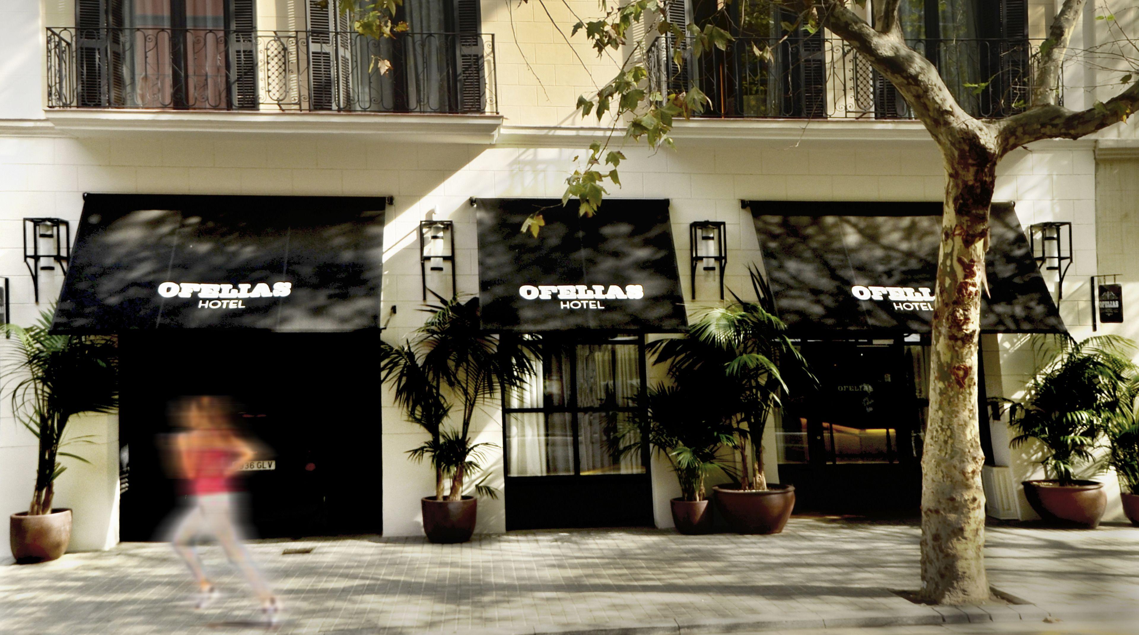 Ofelias Hotel 4Sup — Photos 3